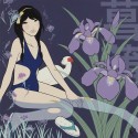 菖蒲／AYAME (Iris)